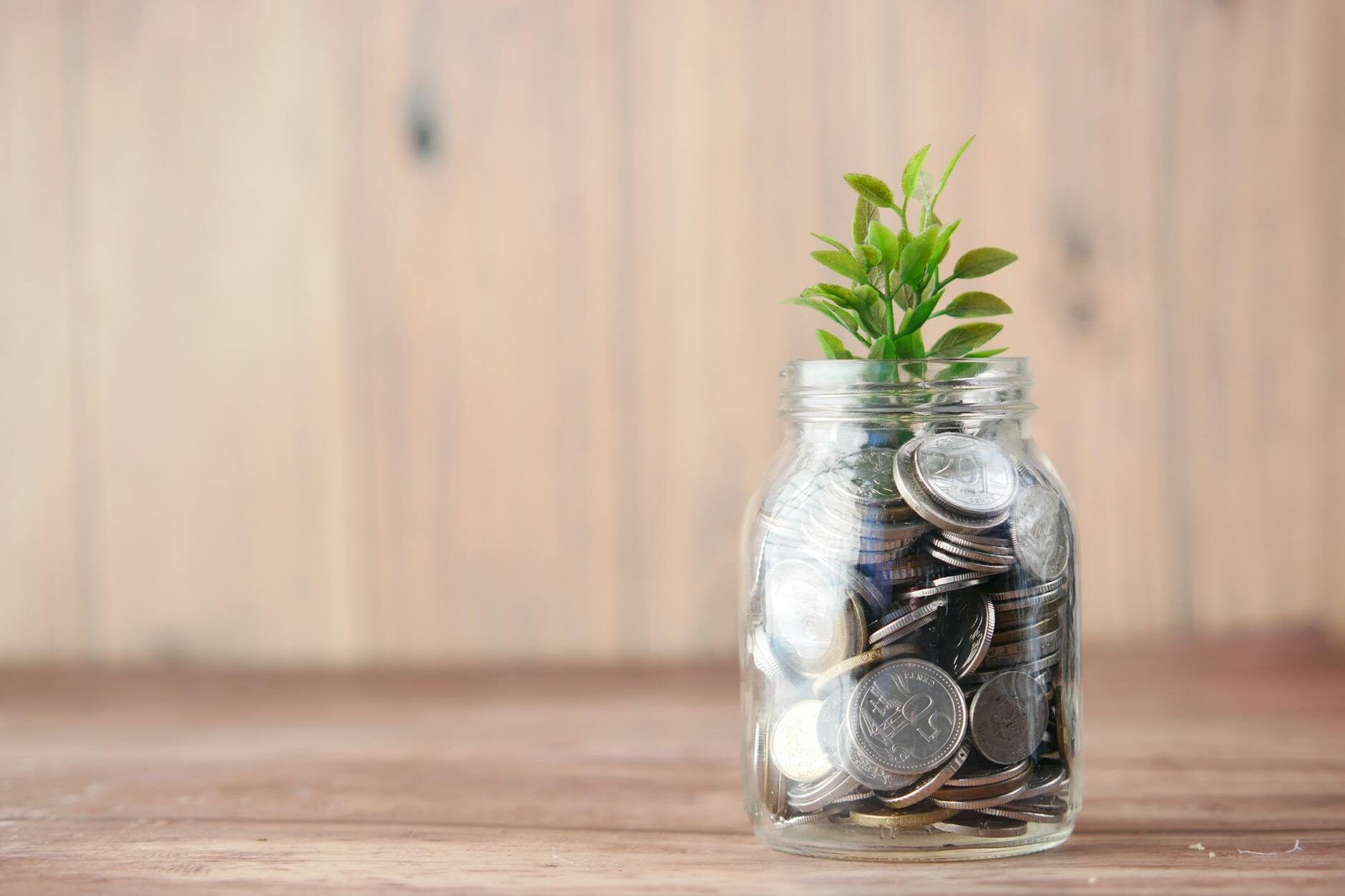 A glass mason jar filled with coins with a small green plant growing from it on a warm wooden surface